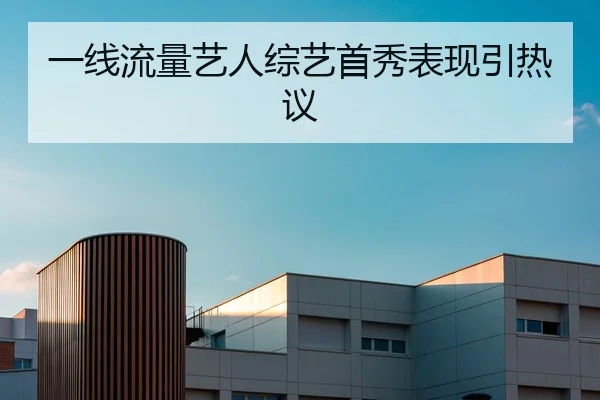 一线流量艺人综艺首秀表现引热议
